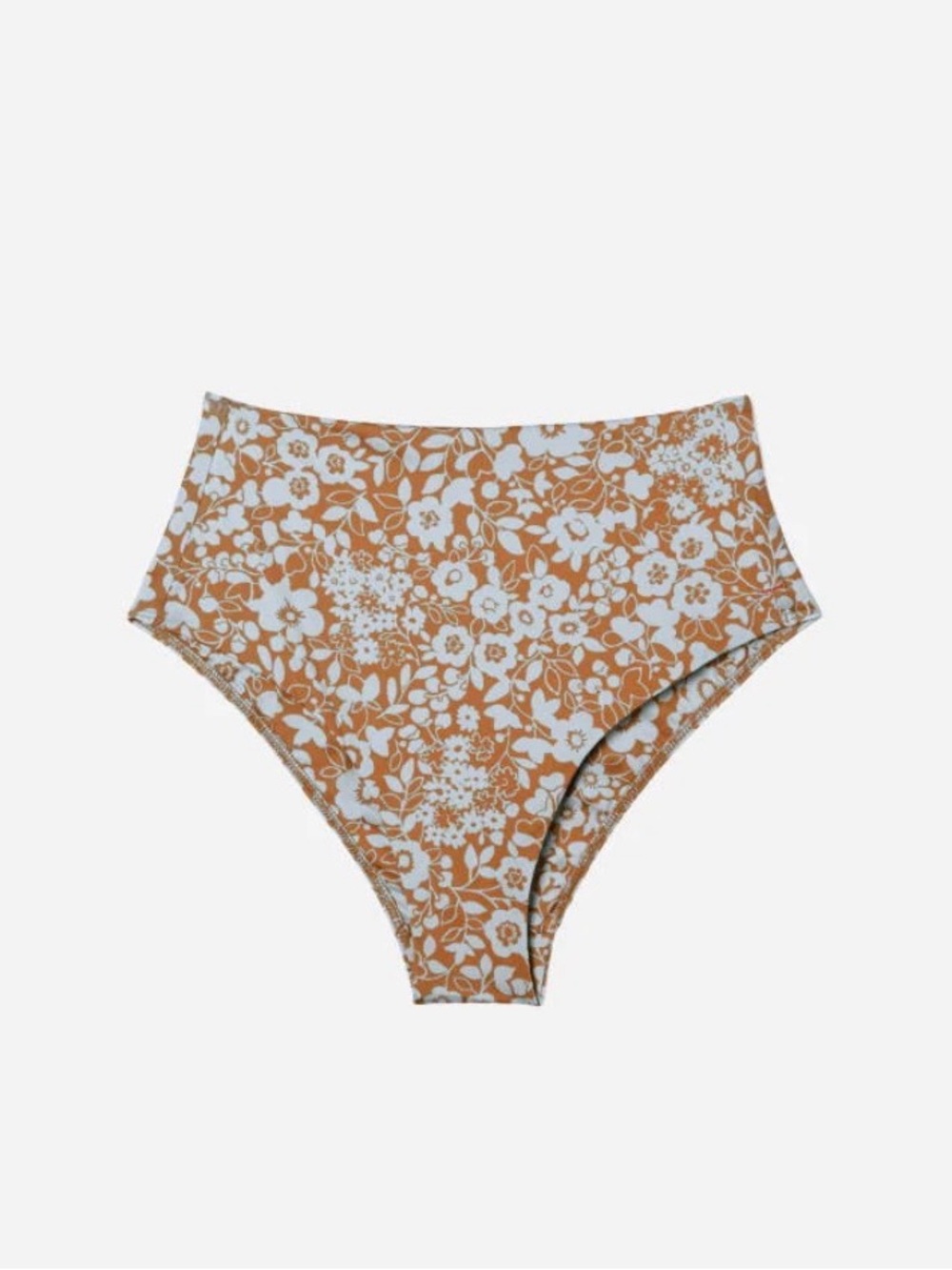 Everlane bikini bottom